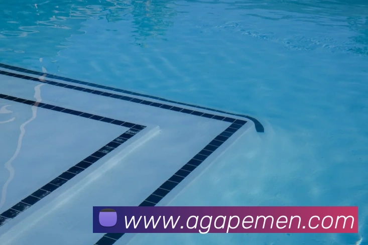 ag百家乐APP 封面图